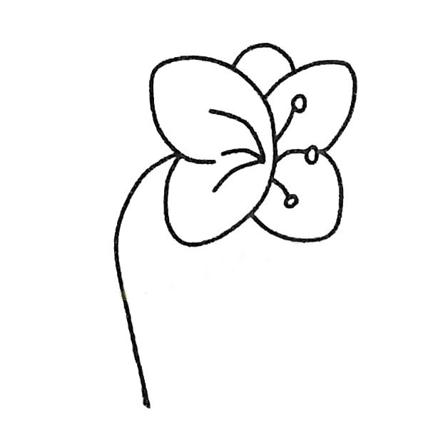 蝴蝶兰简笔画
