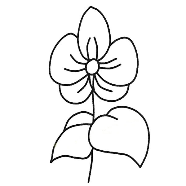 漂亮的蝴蝶兰简笔画图片