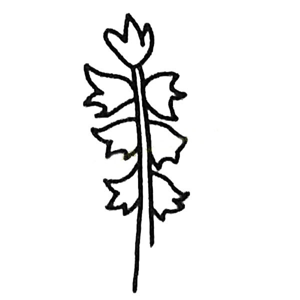 风信子简笔画