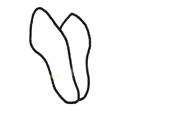 玉兰花简笔画