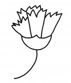 儿童学画6种康乃馨简笔画图片