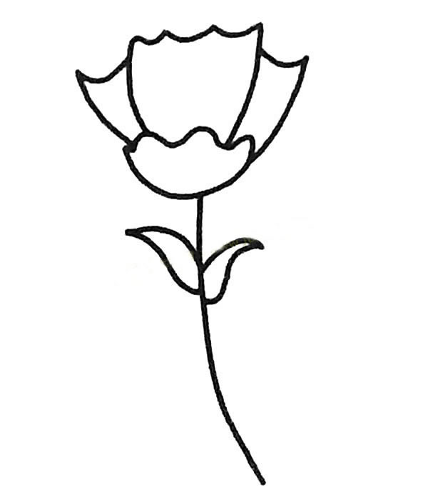儿童简笔画大全 康乃馨简笔画图片