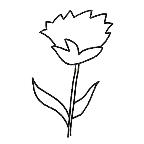 儿童简笔画大全 康乃馨简笔画图片