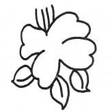 儿童学画6种茶花简笔画图片