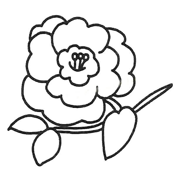 儿童简笔画大全 茶花简笔画图片大全
