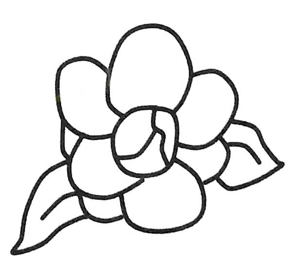 儿童简笔画大全 茶花简笔画图片大全