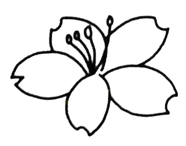 樱花简笔画