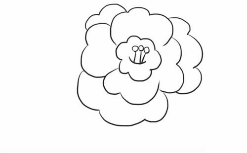 茶花简笔画步骤图解