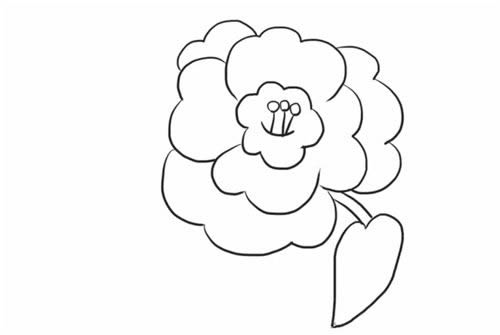 茶花简笔画步骤图解