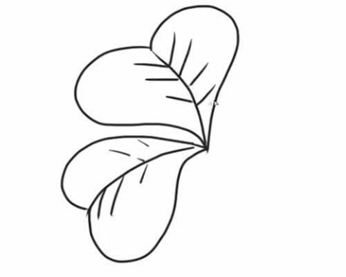 四叶草简笔画步骤教程