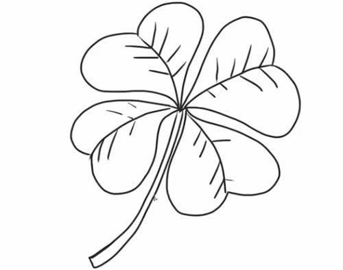四叶草简笔画步骤教程