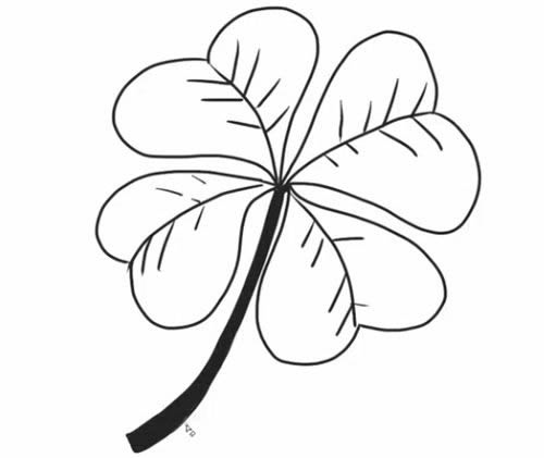 四叶草简笔画步骤教程