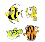 12种海洋鱼类简笔画画法彩色