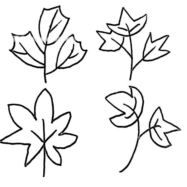 树叶简笔画图片大全