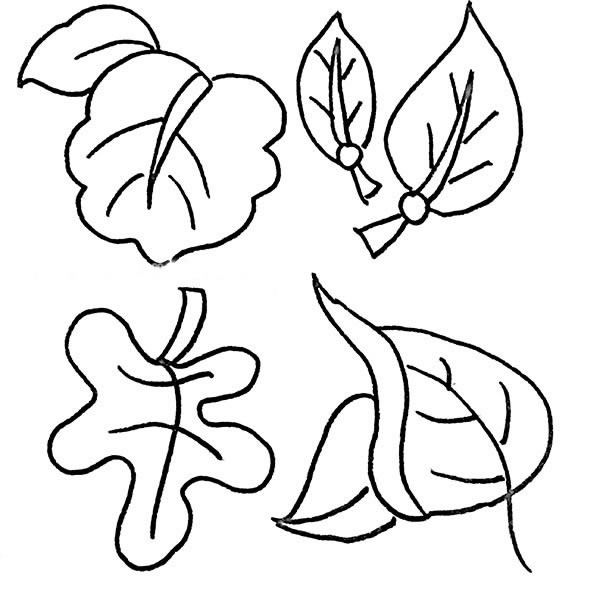 树叶简笔画图片大全