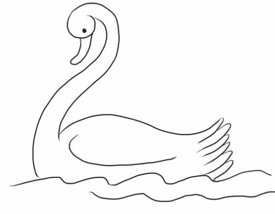 水中的白天鹅简笔画步骤图解