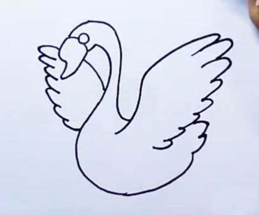 天鹅简笔画图解步骤