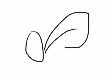 桔梗花简笔画教程