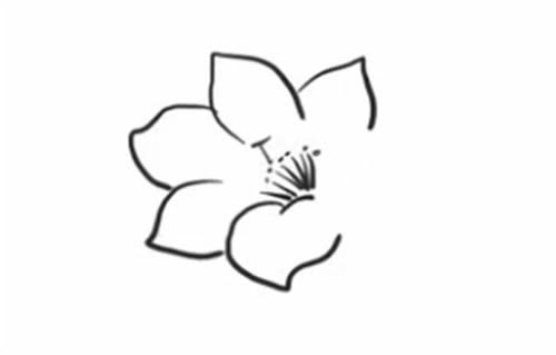 杜鹃花简笔画的画法步骤图