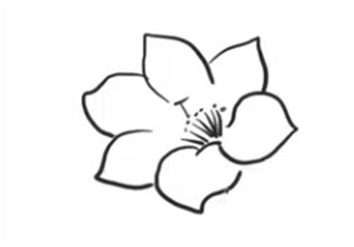 杜鹃花简笔画的画法步骤图
