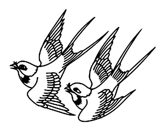 简笔画小燕子，飞行的小燕子简笔画图片05