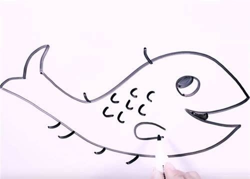 淡水鱼简笔画