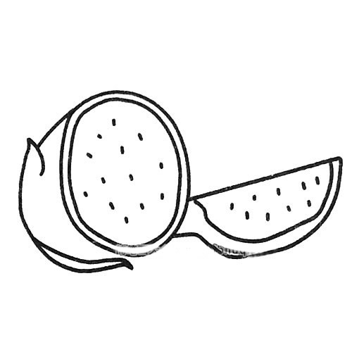 火龙果简笔画图片