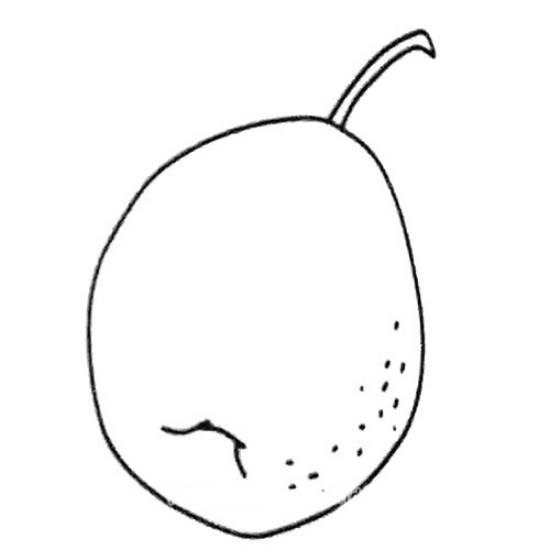 梨画法简笔画图片大全