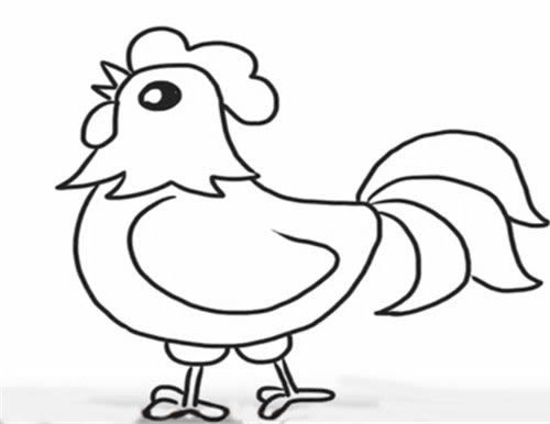 公鸡简笔画图片