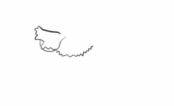 康乃馨简笔画