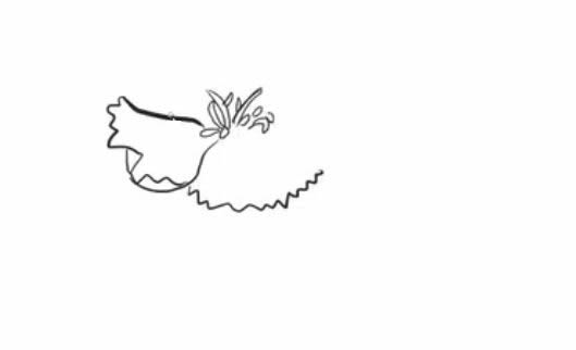 康乃馨简笔画