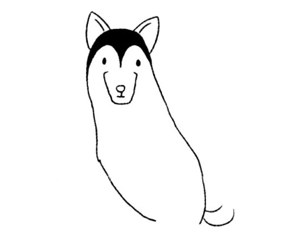 爱斯基摩犬/雪橇犬简笔画步骤图解教程
