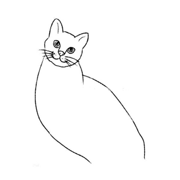 小猫的简笔画画法步骤