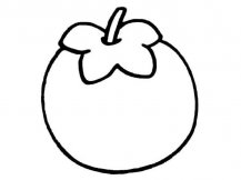 柿子简笔画