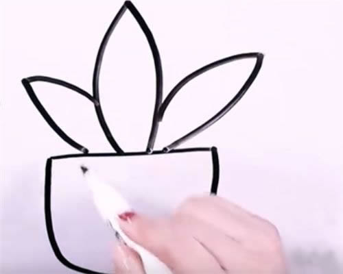 万年青简笔画图片
