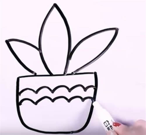 万年青简笔画图片