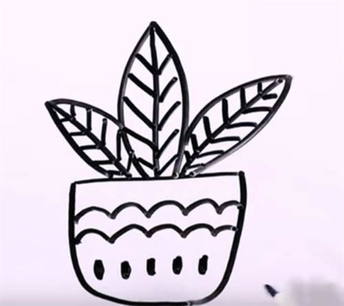 万年青简笔画图片