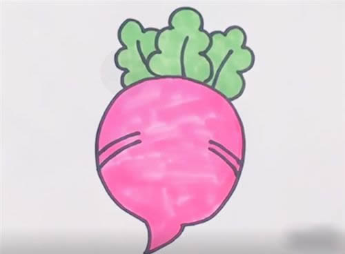 红萝卜画法图片简笔画