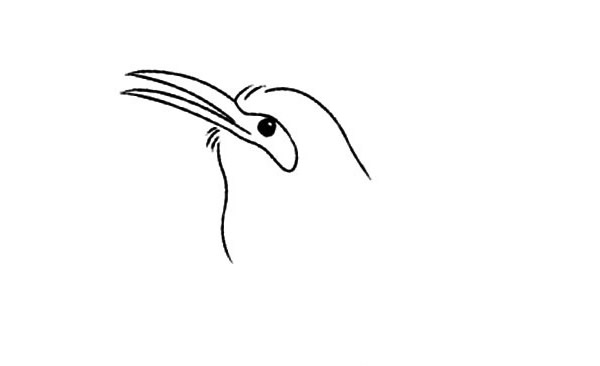 小喜鹊简笔画