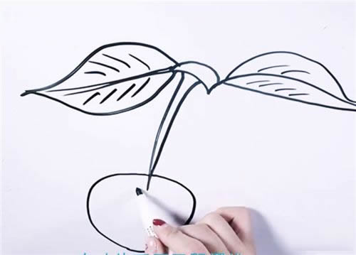 樱桃简笔画图片