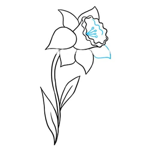 简单十步画出水仙花简笔画步骤图