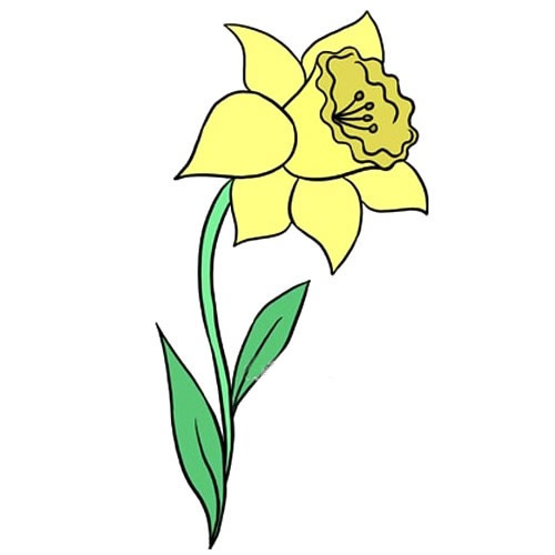 简单十步画出水仙花简笔画步骤图