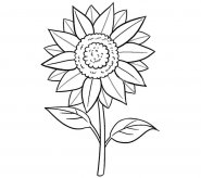 儿童学画向日葵简笔画带颜色