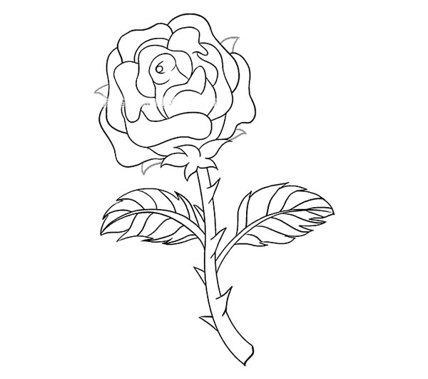 黄玫瑰简笔画图片1