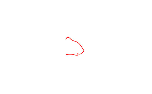 松鼠简笔画步骤图片