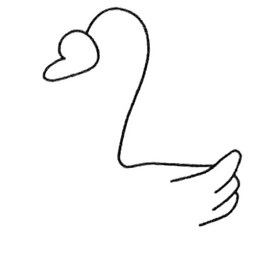 天鹅简笔画步骤3