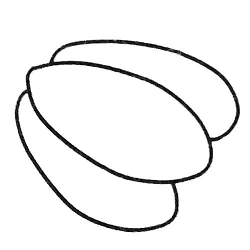 杨桃简笔画步骤3