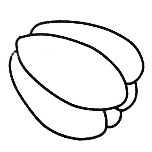 杨桃简笔画步骤4