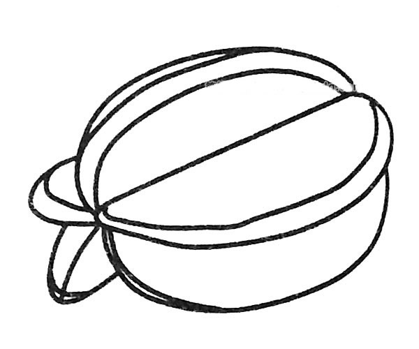 杨桃简笔画图片2