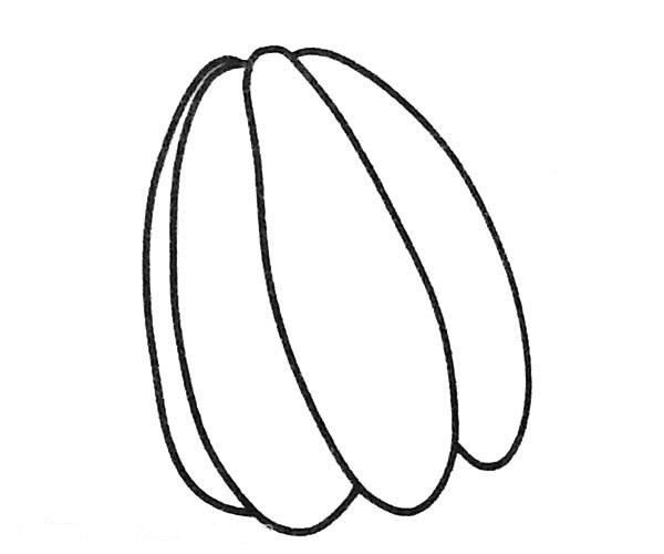 杨桃简笔画图片4